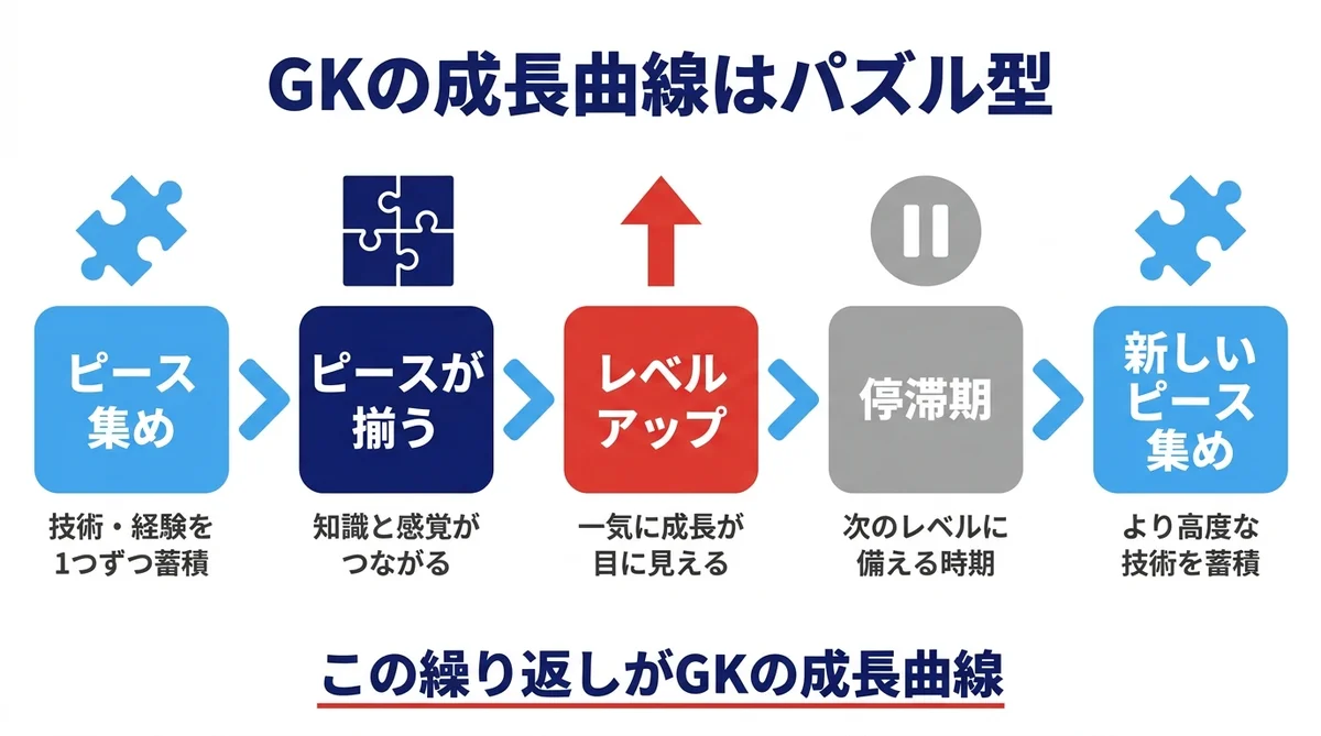 GKの成長曲線をパズル型で表現。停滞期と飛躍期が繰り返されながら螺旋状に成長していくプロセスの図解