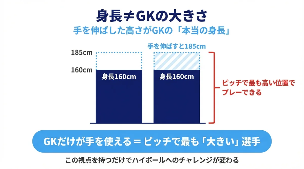 身長以外の武器を見ている