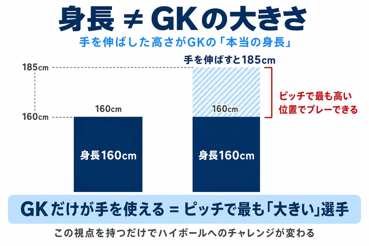 身長以外の武器を見ている