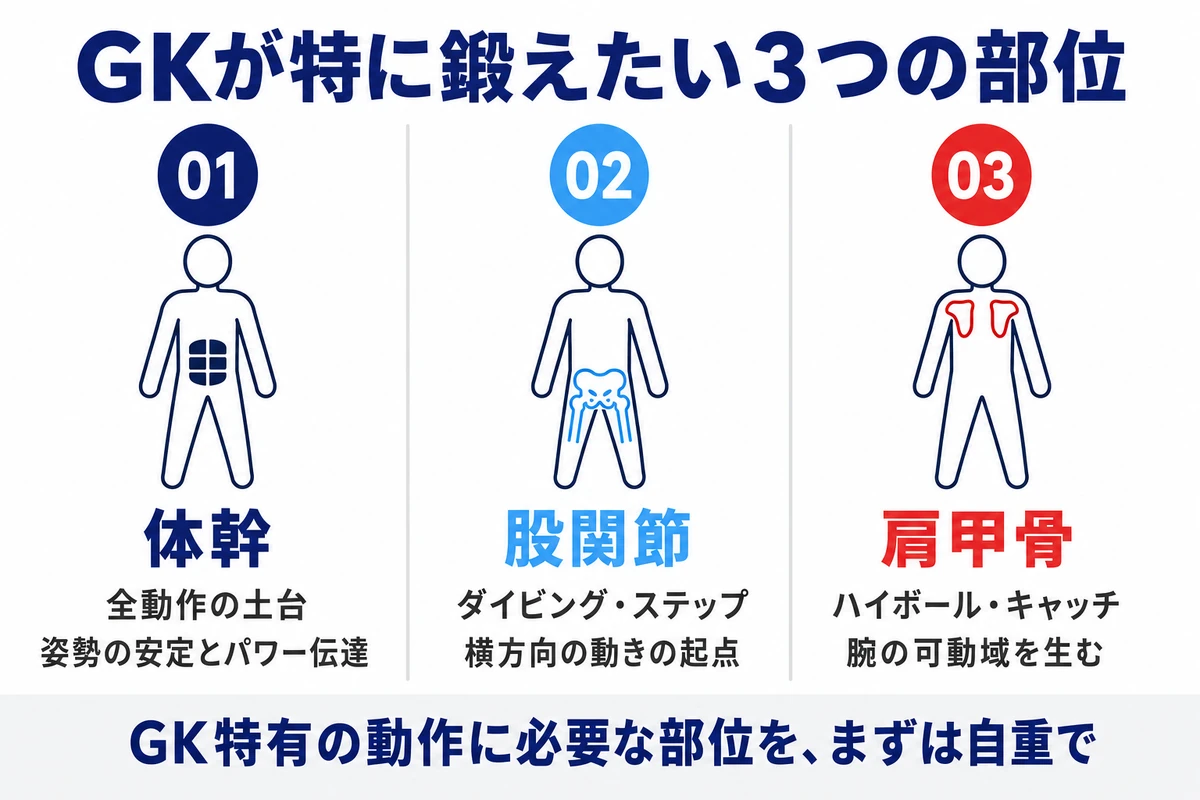 GKが特に鍛えたい3つの部位 体幹 股関節 肩甲骨