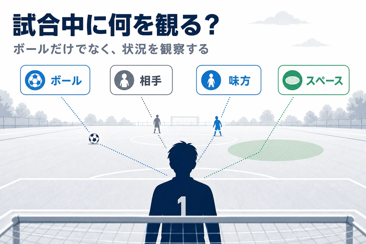 試合中のGKがボールだけでなく相手と味方とスペースを観ている場面